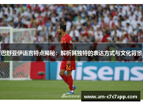 巴舒亚伊语言特点揭秘:解析其独特的表达方式与文化背景 巴舒亚伊语言特点揭秘:解析其独特的表达方式与文化背景