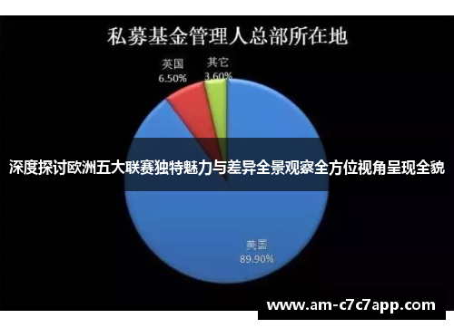 深度探讨欧洲五大联赛独特魅力与差异全景观察全方位视角呈现全貌