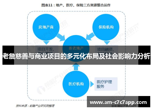 老詹慈善与商业项目的多元化布局及社会影响力分析