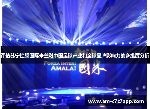 评估苏宁控股国际米兰对中国足球产业和全球品牌影响力的多维度分析 评估苏宁控股国际米兰对中国足球产业和全球品牌影响力的多维度分析