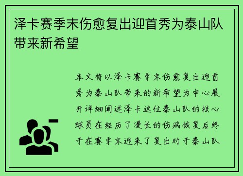 泽卡赛季末伤愈复出迎首秀为泰山队带来新希望 泽卡赛季末伤愈复出迎首秀为泰山队带来新希望
