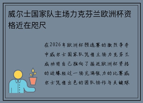威尔士国家队主场力克芬兰欧洲杯资格近在咫尺